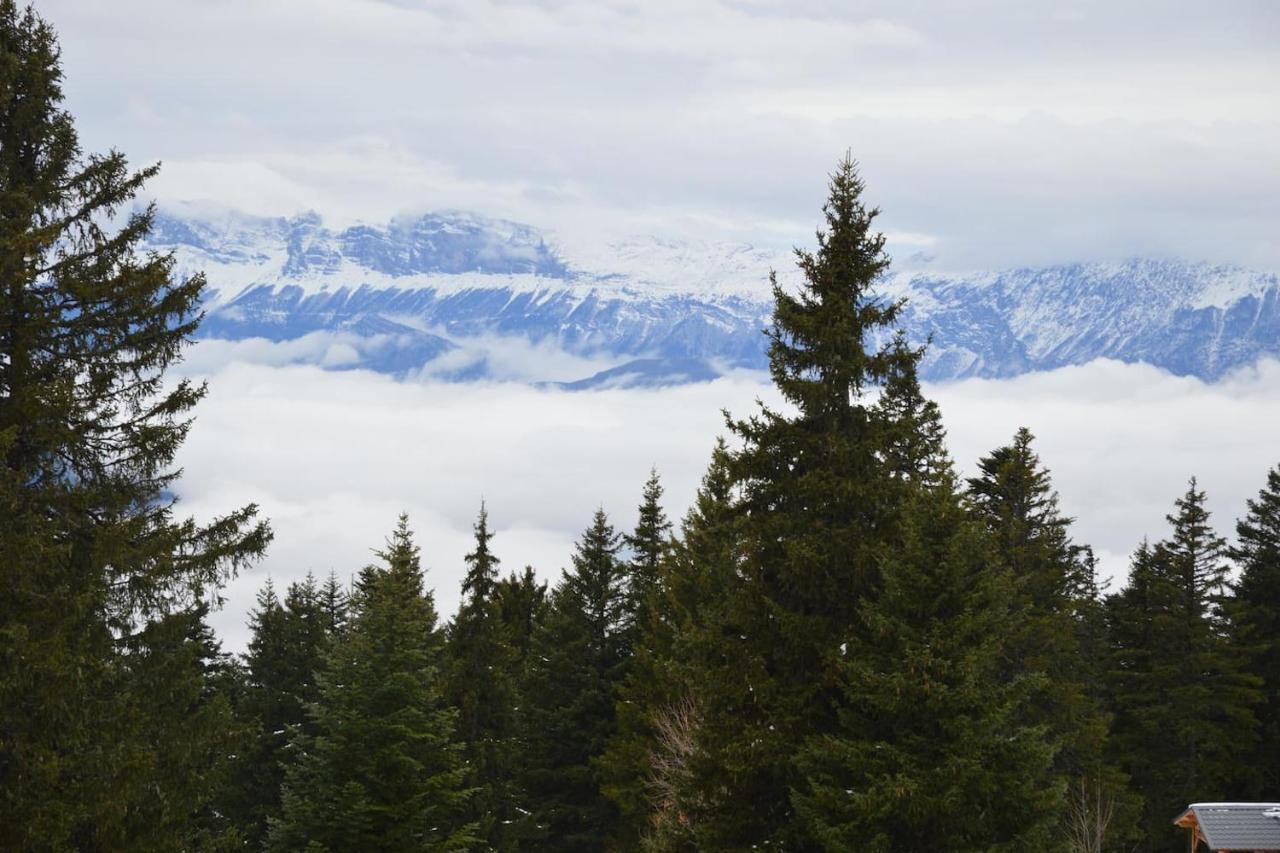 Charmant Studio Cabine Cocoon A 100 M Des Pistes ฌ็องรุส ภายนอก รูปภาพ